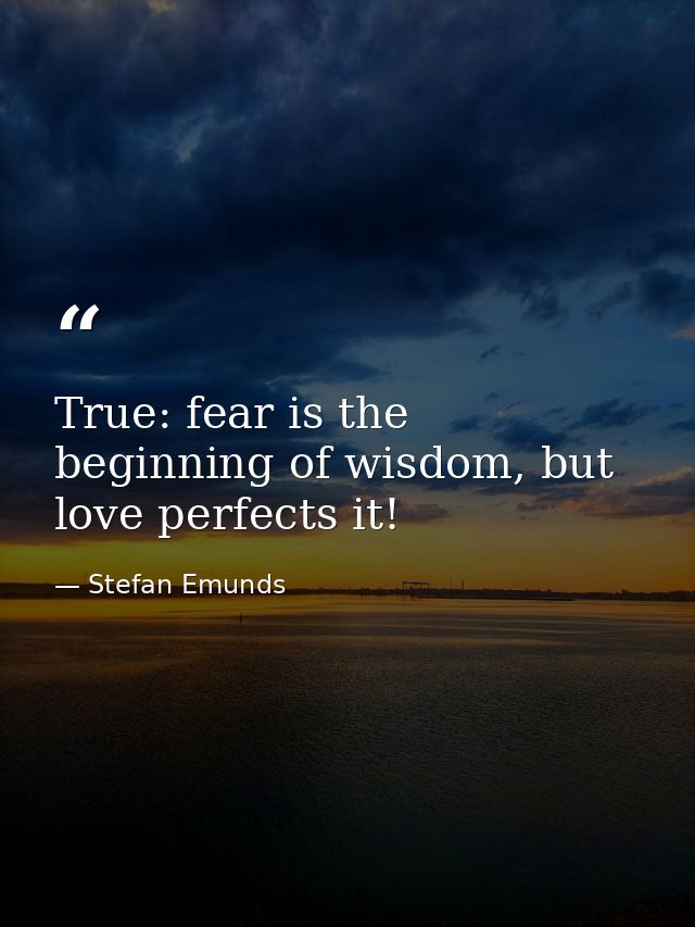 True: fear is the beginning of wisdom, but love perfects it! — Stefan Emunds