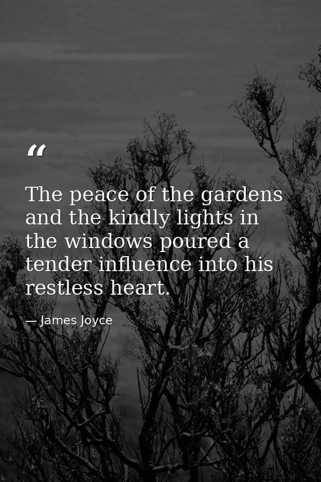 The peace of the gardens and the kindly lights in the windows poured a tender influence into his restless heart. — James Joyce
