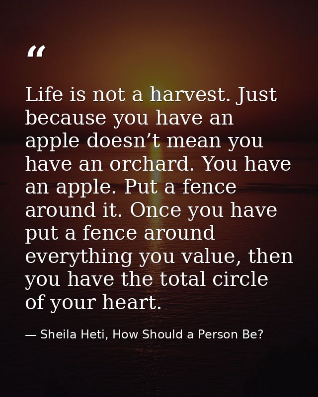 Life is not a harvest. Just because you have an apple doesn’t mean you have an orchard. You have an apple. Put a fence a — Sheila Heti, How Should a Person Be?