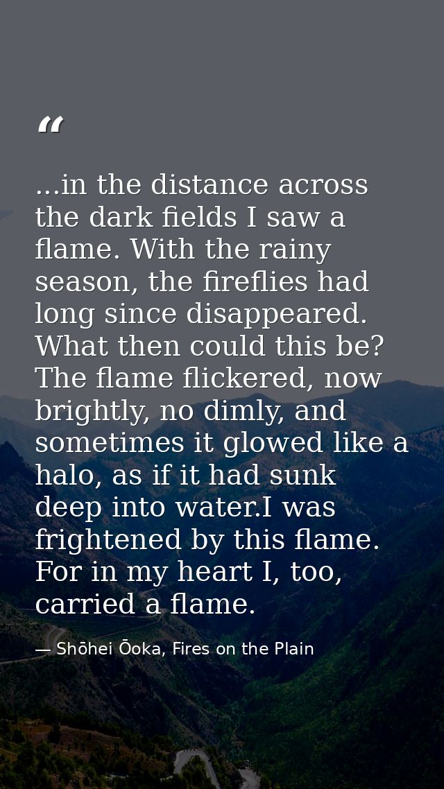 ...in the distance across the dark fields I saw a flame. With the rainy season, the fireflies had long since disappeared — Shōhei Ōoka, Fires on the Plain