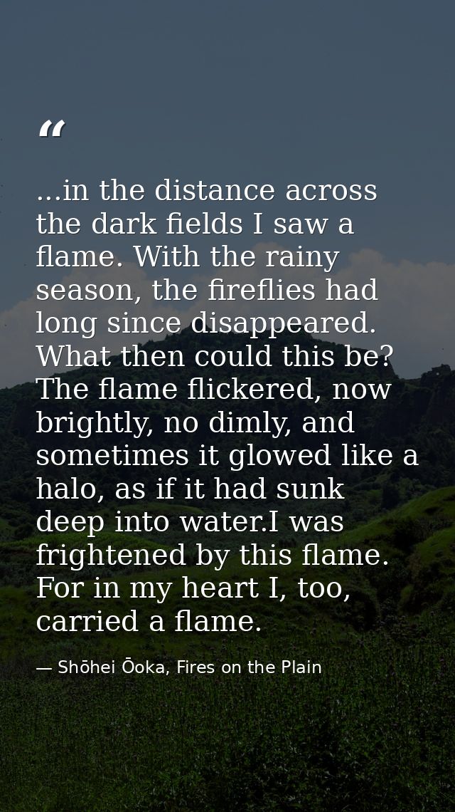 ...in the distance across the dark fields I saw a flame. With the rainy season, the fireflies had long since disappeared — Shōhei Ōoka, Fires on the Plain