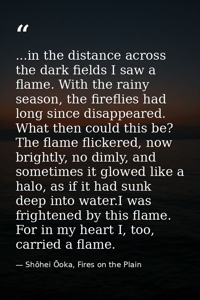 ...in the distance across the dark fields I saw a flame. With the rainy season, the fireflies had long since disappeared — Shōhei Ōoka, Fires on the Plain