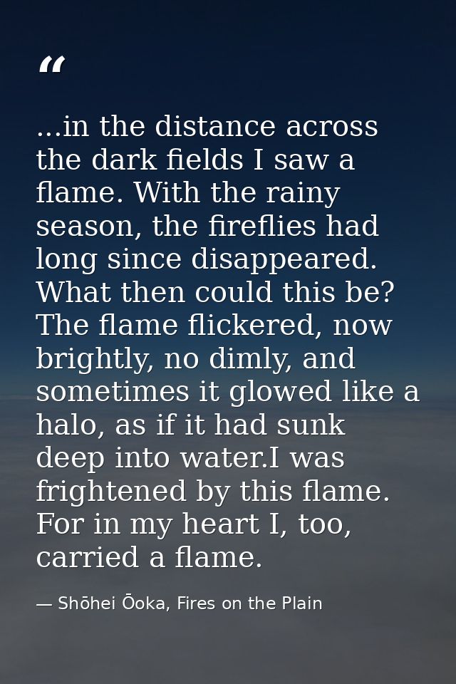 ...in the distance across the dark fields I saw a flame. With the rainy season, the fireflies had long since disappeared — Shōhei Ōoka, Fires on the Plain