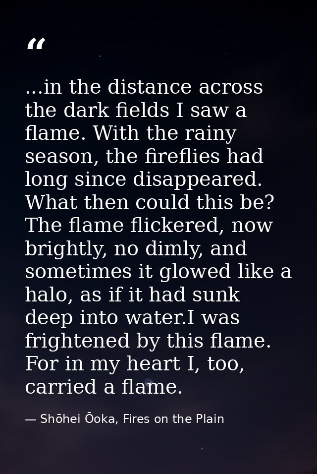 ...in the distance across the dark fields I saw a flame. With the rainy season, the fireflies had long since disappeared — Shōhei Ōoka, Fires on the Plain