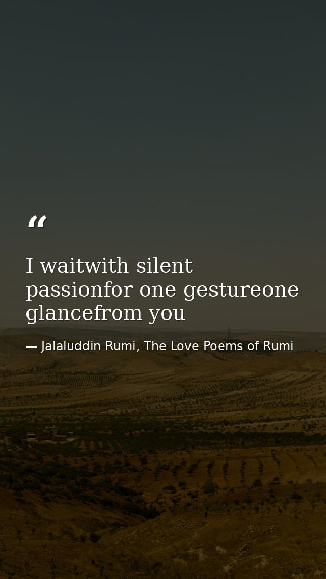 I waitwith silent passionfor one gestureone glancefrom you — Jalaluddin Rumi, The Love Poems of Rumi