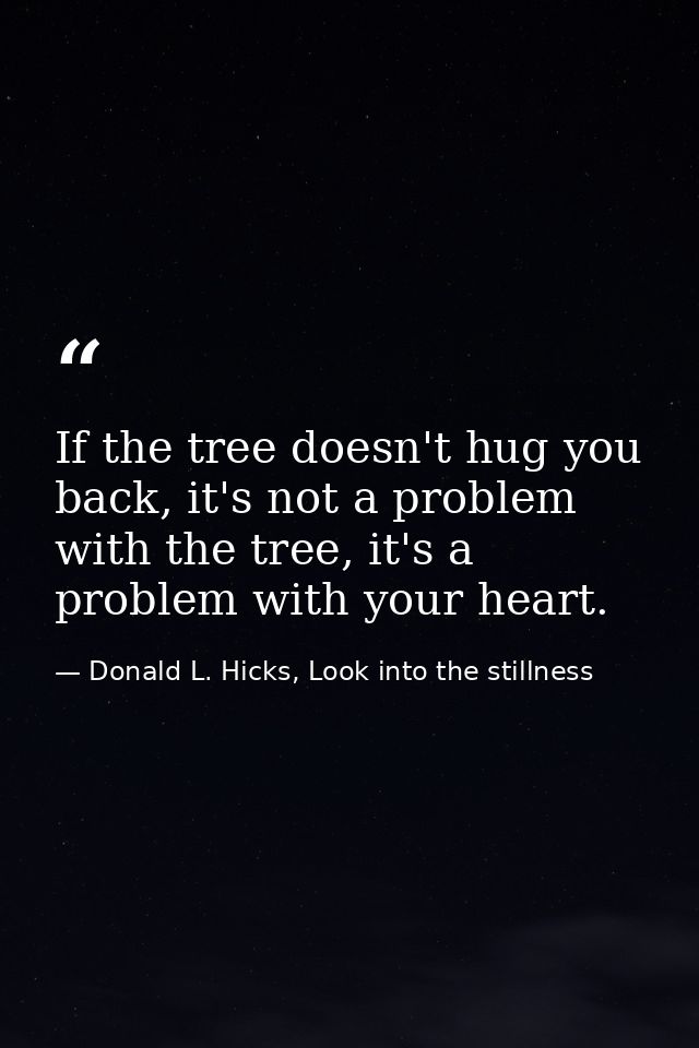 If the tree doesn't hug you back, it's not a problem with the tree, it's a problem with your heart. — Donald L. Hicks, Look into the stillness
