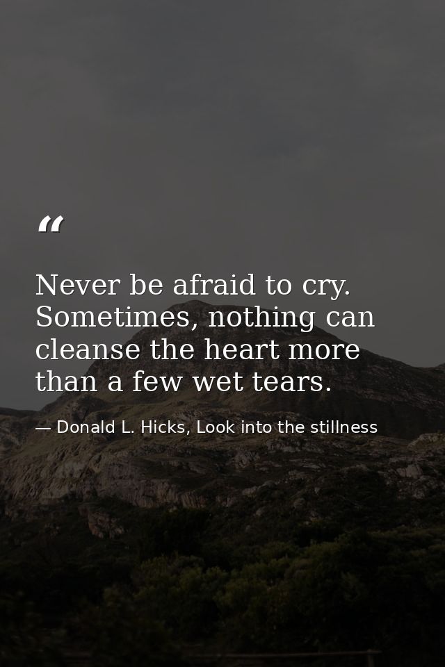 Never be afraid to cry. Sometimes, nothing can cleanse the heart more than a few wet tears. — Donald L. Hicks, Look into the stillness