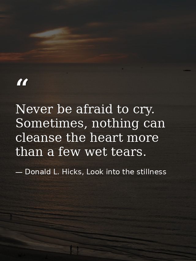Never be afraid to cry. Sometimes, nothing can cleanse the heart more than a few wet tears. — Donald L. Hicks, Look into the stillness