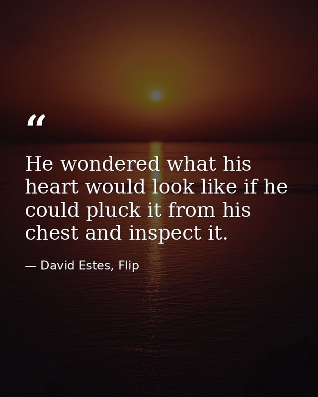 He wondered what his heart would look like if he could pluck it from his chest and inspect it. — David Estes, Flip