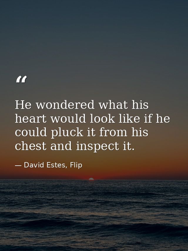 He wondered what his heart would look like if he could pluck it from his chest and inspect it. — David Estes, Flip