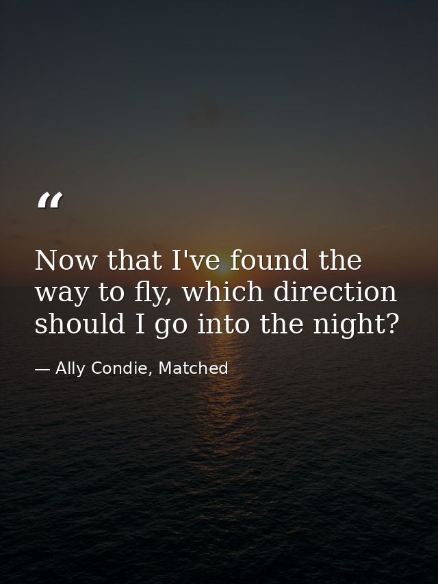 Now that I've found the way to fly, which direction should I go into the night? — Ally Condie, Matched