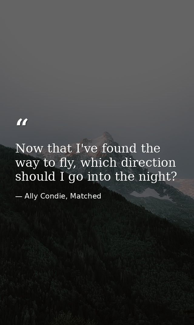 Now that I've found the way to fly, which direction should I go into the night? — Ally Condie, Matched