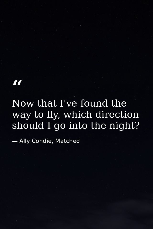Now that I've found the way to fly, which direction should I go into the night? — Ally Condie, Matched