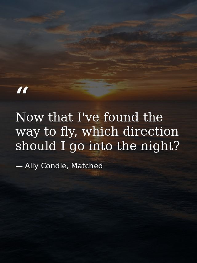 Now that I've found the way to fly, which direction should I go into the night? — Ally Condie, Matched