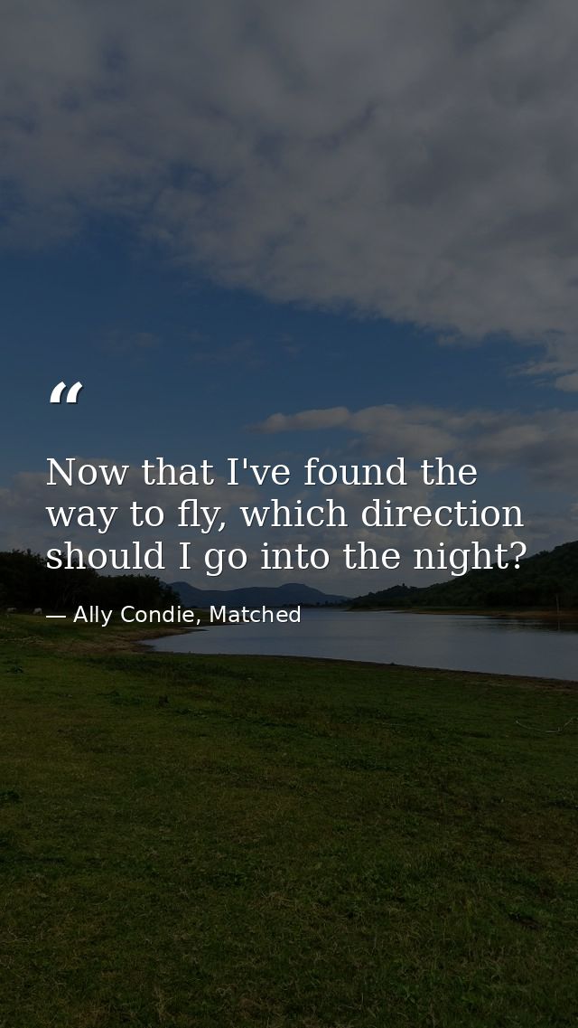 Now that I've found the way to fly, which direction should I go into the night? — Ally Condie, Matched