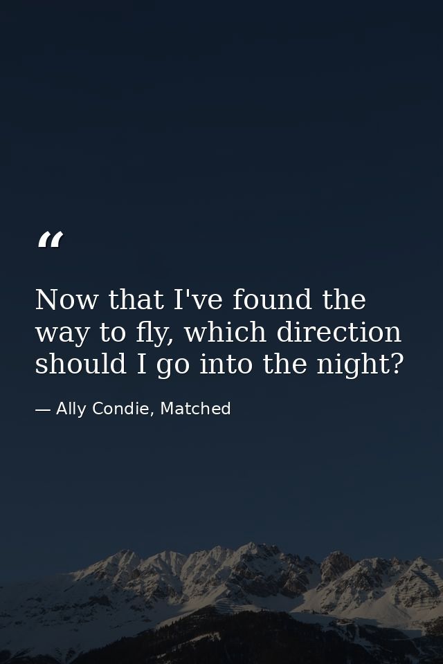 Now that I've found the way to fly, which direction should I go into the night? — Ally Condie, Matched