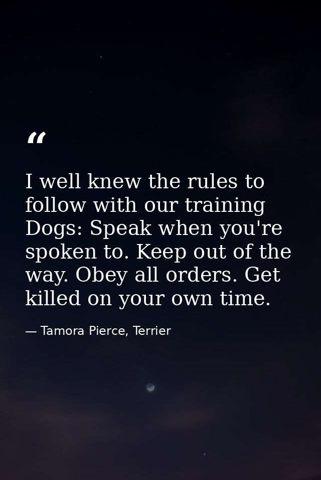 I well knew the rules to follow with our training Dogs: Speak when you're spoken to. Keep out of the way. Obey all order — Tamora Pierce, Terrier