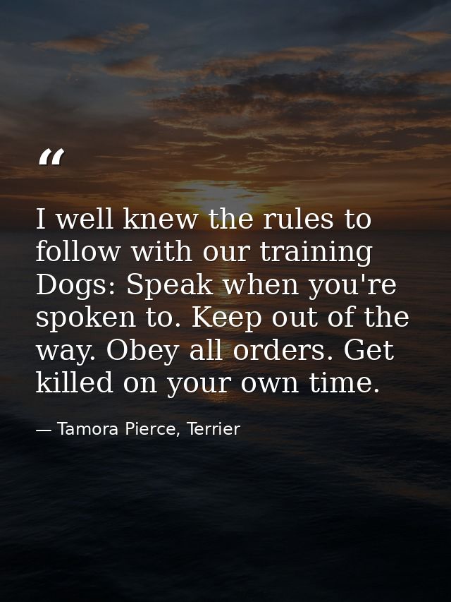 I well knew the rules to follow with our training Dogs: Speak when you're spoken to. Keep out of the way. Obey all order — Tamora Pierce, Terrier