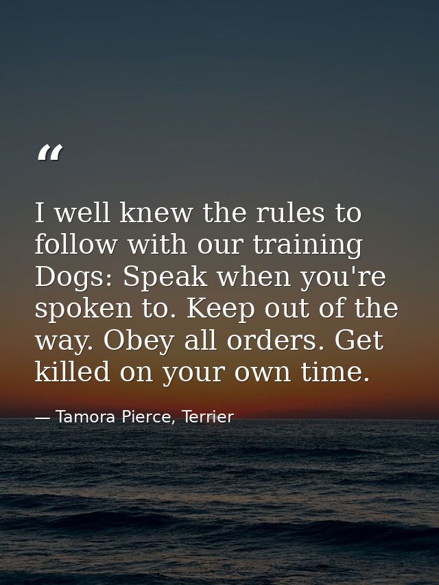 I well knew the rules to follow with our training Dogs: Speak when you're spoken to. Keep out of the way. Obey all order — Tamora Pierce, Terrier