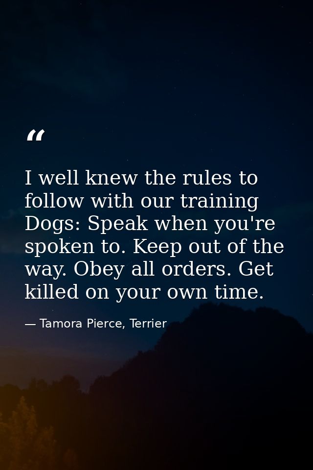 I well knew the rules to follow with our training Dogs: Speak when you're spoken to. Keep out of the way. Obey all order — Tamora Pierce, Terrier