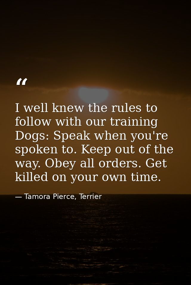 I well knew the rules to follow with our training Dogs: Speak when you're spoken to. Keep out of the way. Obey all order — Tamora Pierce, Terrier