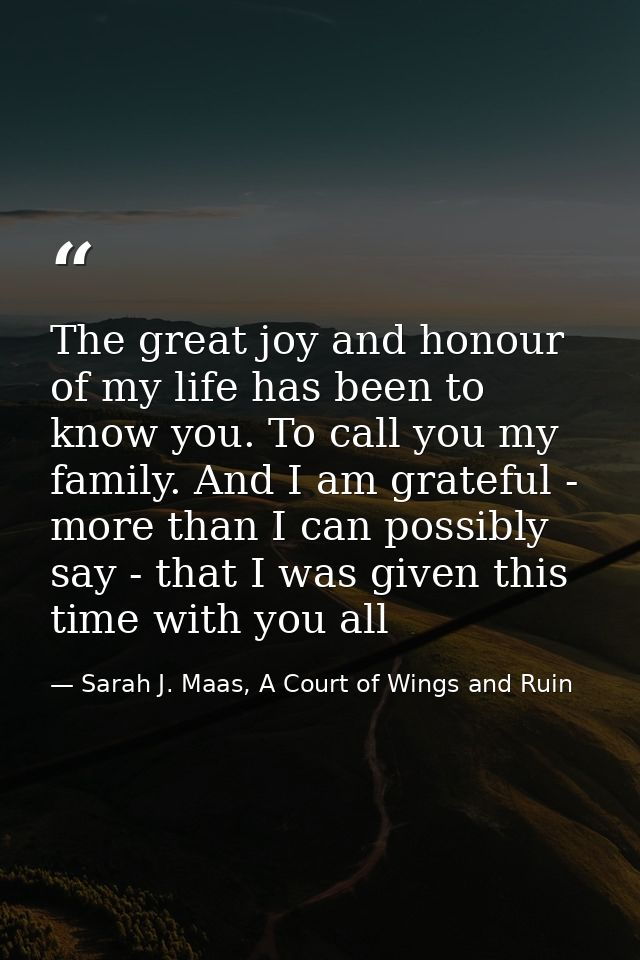 The great joy and honour of my life has been to know you. To call you my family. And I am grateful - more than I can pos — Sarah J. Maas, A Court of Wings and Ruin