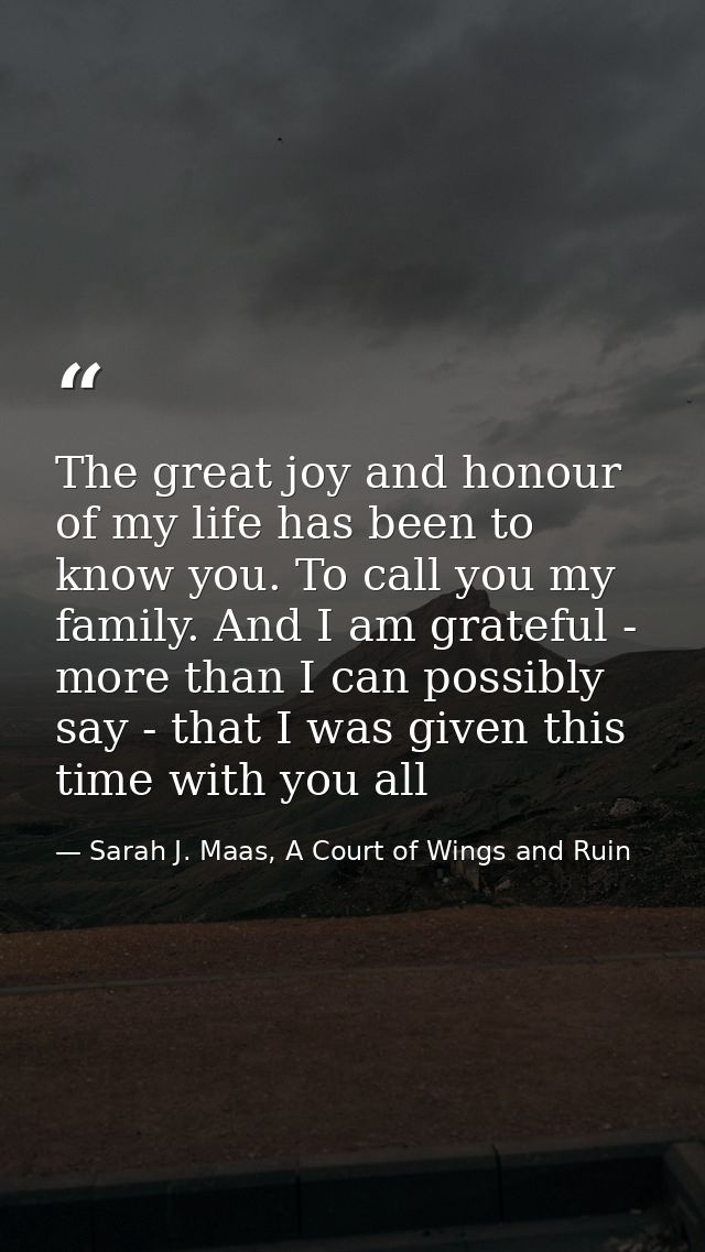The great joy and honour of my life has been to know you. To call you my family. And I am grateful - more than I can pos — Sarah J. Maas, A Court of Wings and Ruin