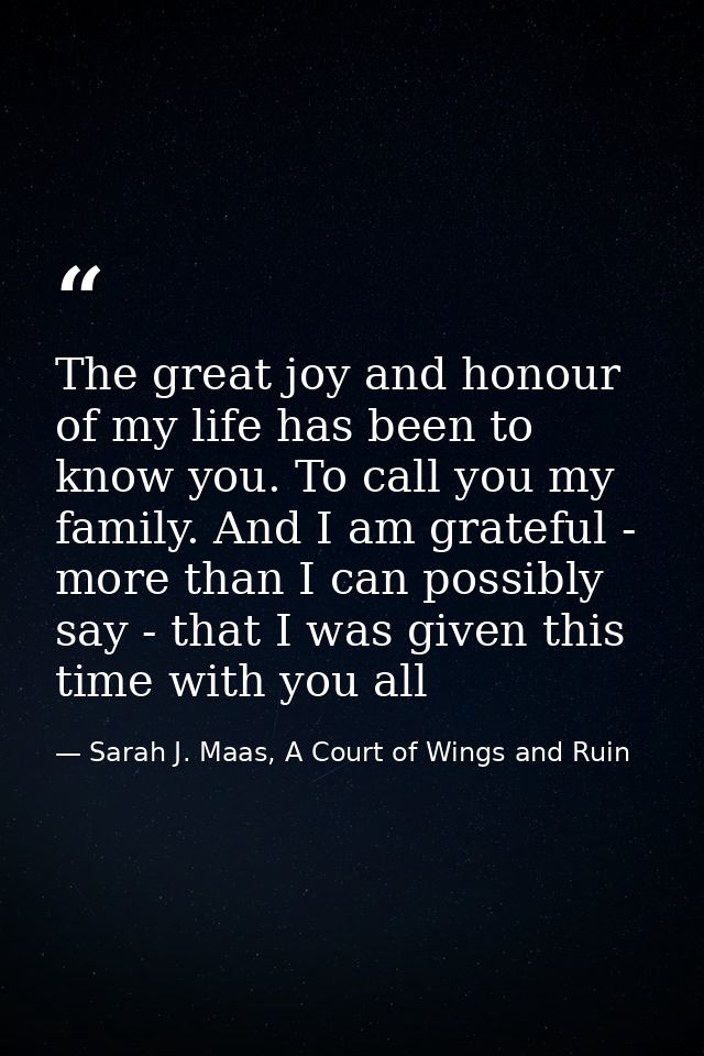 The great joy and honour of my life has been to know you. To call you my family. And I am grateful - more than I can pos — Sarah J. Maas, A Court of Wings and Ruin