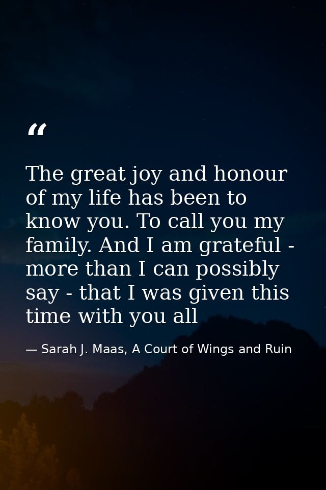 The great joy and honour of my life has been to know you. To call you my family. And I am grateful - more than I can pos — Sarah J. Maas, A Court of Wings and Ruin