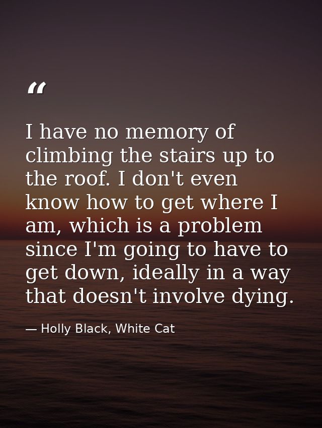 I have no memory of climbing the stairs up to the roof. I don't even know how to get where I am, which is a problem sinc — Holly Black, White Cat