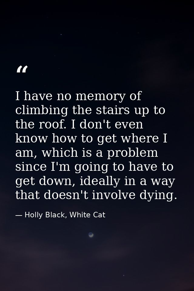 I have no memory of climbing the stairs up to the roof. I don't even know how to get where I am, which is a problem sinc — Holly Black, White Cat