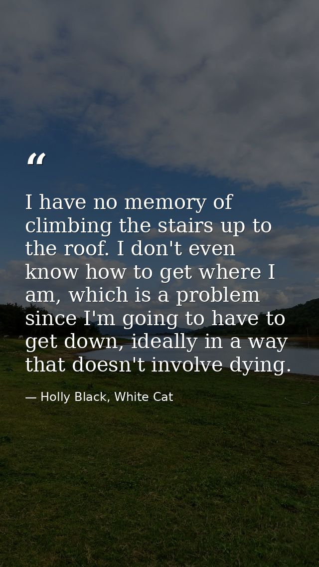 I have no memory of climbing the stairs up to the roof. I don't even know how to get where I am, which is a problem sinc — Holly Black, White Cat
