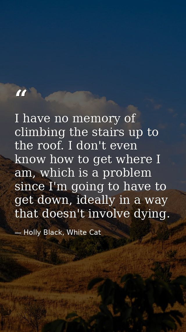 I have no memory of climbing the stairs up to the roof. I don't even know how to get where I am, which is a problem sinc — Holly Black, White Cat