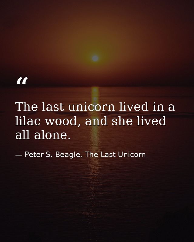 The last unicorn lived in a lilac wood, and she lived all alone. — Peter S. Beagle, The Last Unicorn