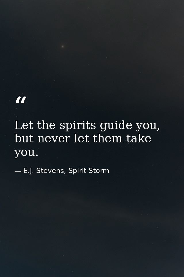 Let the spirits guide you, but never let them take you. — E.J. Stevens, Spirit Storm