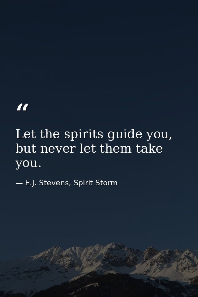 Let the spirits guide you, but never let them take you. — E.J. Stevens, Spirit Storm