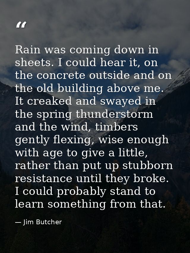 Rain was coming down in sheets. I could hear it, on the concrete outside and on the old building above me. It creaked an — Jim Butcher