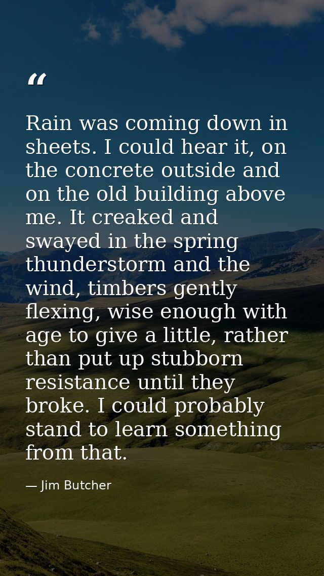 Rain was coming down in sheets. I could hear it, on the concrete outside and on the old building above me. It creaked an — Jim Butcher
