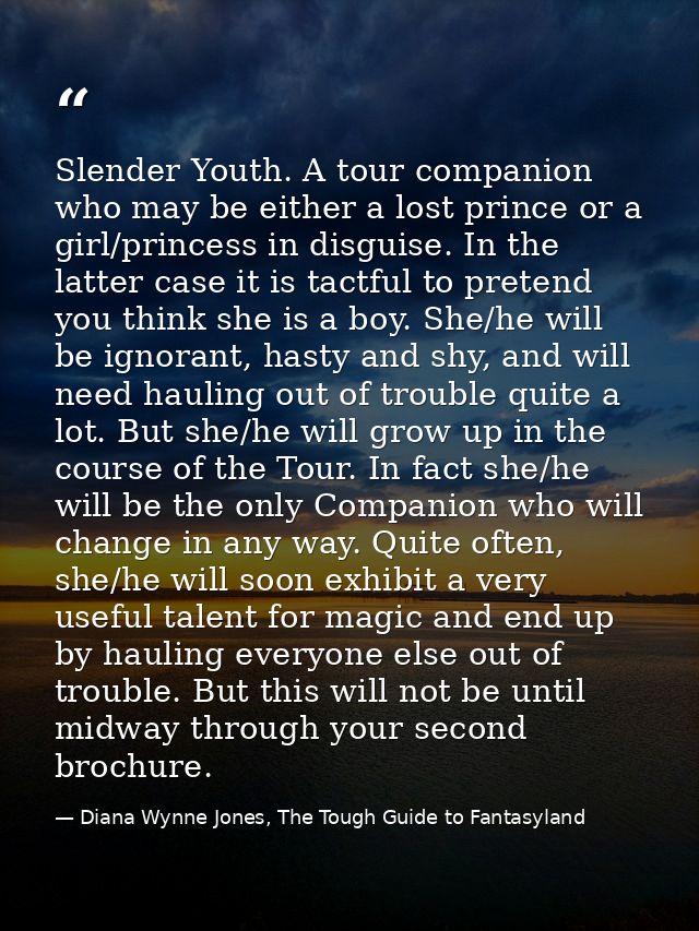 Slender Youth. A tour companion who may be either a lost prince or a girl/princess in disguise. In the latter case it is — Diana Wynne Jones, The Tough Guide to Fantasyland