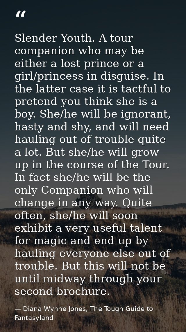 Slender Youth. A tour companion who may be either a lost prince or a girl/princess in disguise. In the latter case it is — Diana Wynne Jones, The Tough Guide to Fantasyland