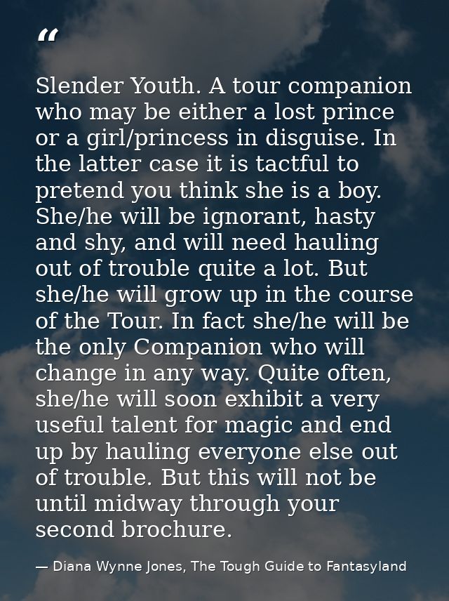 Slender Youth. A tour companion who may be either a lost prince or a girl/princess in disguise. In the latter case it is — Diana Wynne Jones, The Tough Guide to Fantasyland
