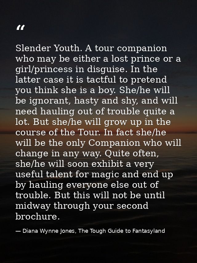 Slender Youth. A tour companion who may be either a lost prince or a girl/princess in disguise. In the latter case it is — Diana Wynne Jones, The Tough Guide to Fantasyland