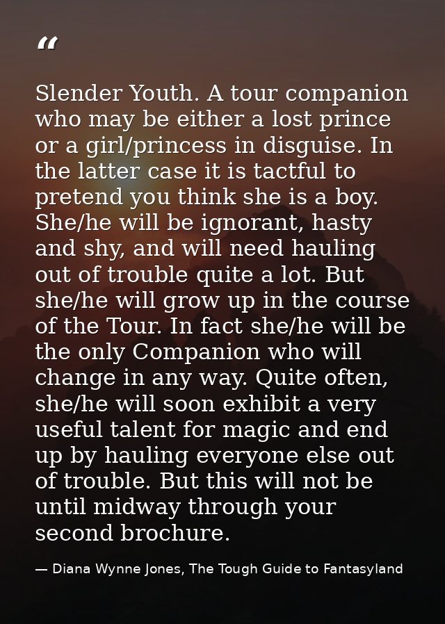Slender Youth. A tour companion who may be either a lost prince or a girl/princess in disguise. In the latter case it is — Diana Wynne Jones, The Tough Guide to Fantasyland