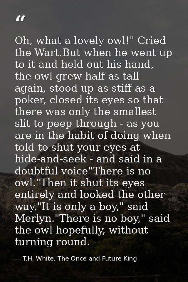 Oh, what a lovely owl!" Cried the Wart.But when he went up to it and held out his hand, the owl grew half as tall again, — T.H. White, The Once and Future King