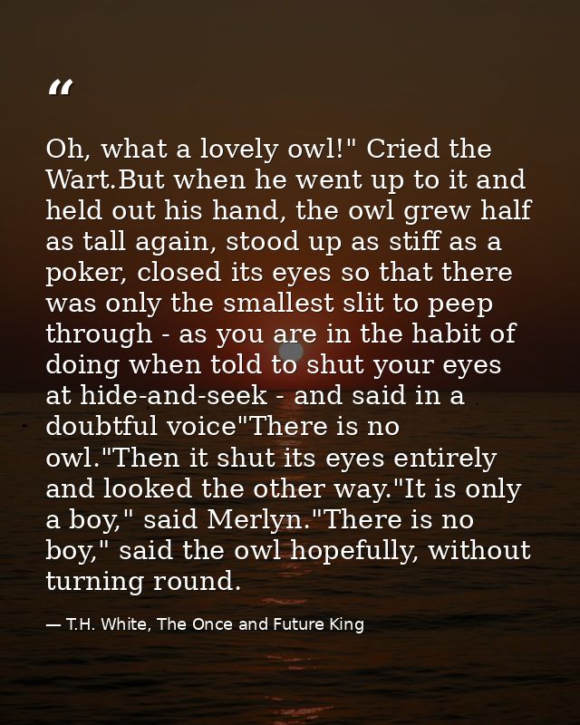 Oh, what a lovely owl!" Cried the Wart.But when he went up to it and held out his hand, the owl grew half as tall again, — T.H. White, The Once and Future King
