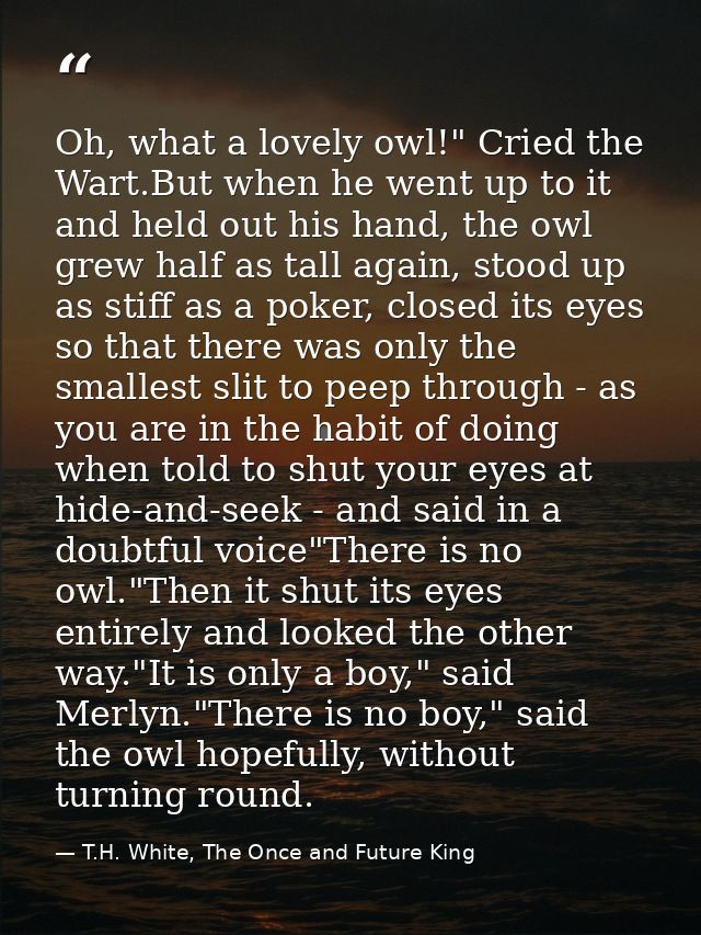 Oh, what a lovely owl!" Cried the Wart.But when he went up to it and held out his hand, the owl grew half as tall again, — T.H. White, The Once and Future King