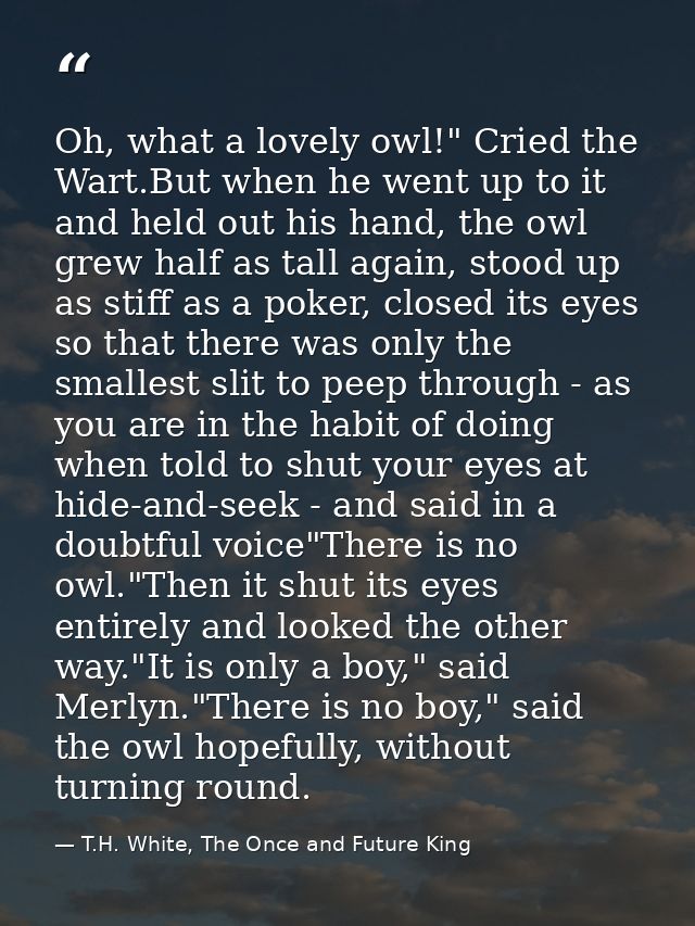 Oh, what a lovely owl!" Cried the Wart.But when he went up to it and held out his hand, the owl grew half as tall again, — T.H. White, The Once and Future King