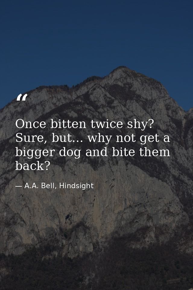 Once bitten twice shy? Sure, but... why not get a bigger dog and bite them back? — A.A. Bell, Hindsight
