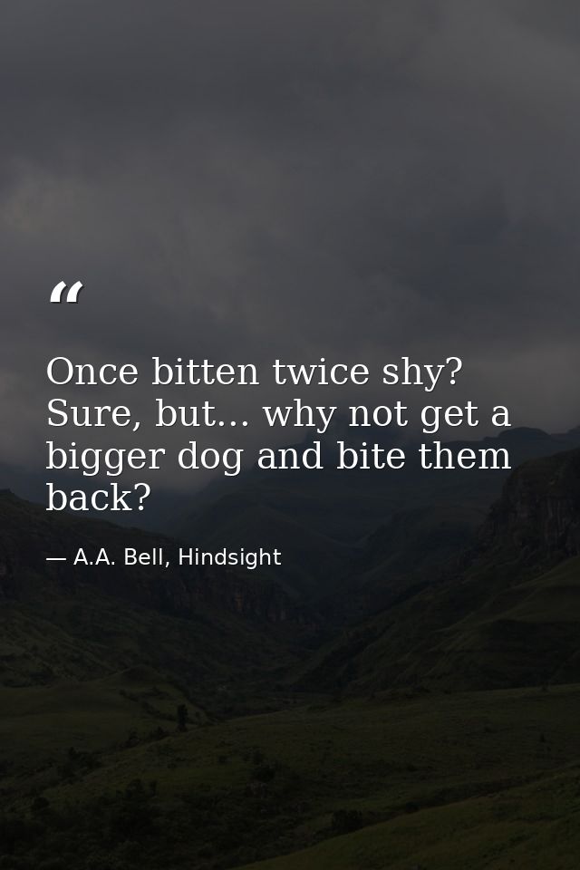Once bitten twice shy? Sure, but... why not get a bigger dog and bite them back? — A.A. Bell, Hindsight