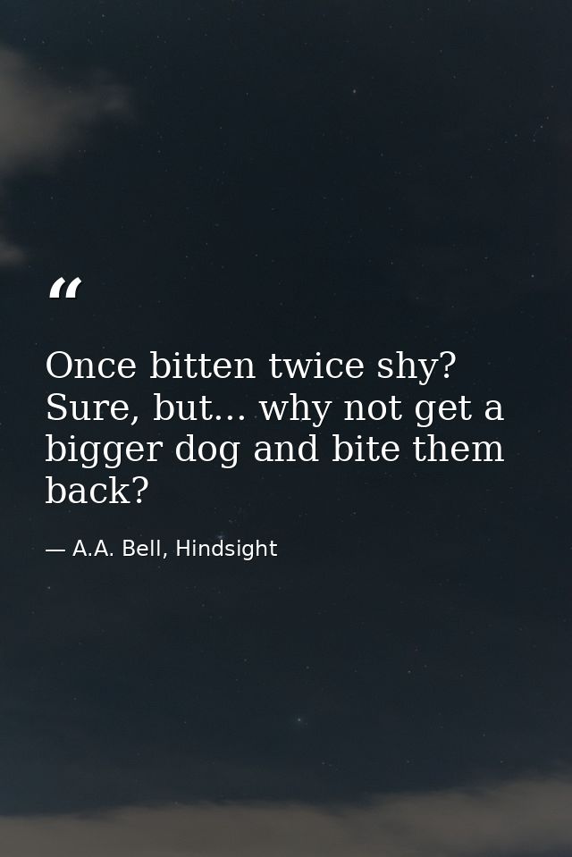 Once bitten twice shy? Sure, but... why not get a bigger dog and bite them back? — A.A. Bell, Hindsight